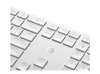 HP 650 Wireless Keyboard and Mouse Combo WHT EURO