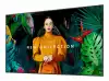 SAMSUNG 55inch UHD/4K 16:9 QM55C Slim-LED 500nits Speakers 2x10W black 3xHDMI 2.0 DP 1.2 USB 2.0 x 2 Ethernet WiFi Dualband BT B