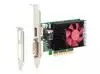 HP Nvidia GT 730 2GB PCIe x8 DP Graphics Card