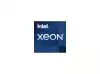 INTEL Xeon W-3335 4GHz FC-LGA16A 24M Cache Tray CPU