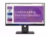Монитор LENOVO ThinkVision T24D-40 23.8inch 1920x1080 IPS 120Hz USB-C docking 96W Daisy Chain Speakers 2x2W Epeat Gold TCO10