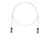 PANDUIT Cat 6A TX6 10G Patch Cord 2m