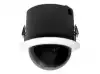 Pelco IP Camera Spectra® HD 1080p with 30x Pendant, black, smoke