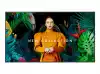 SAMSUNG 43inch UHD/4K 16:9 QM43C Slim-LED 500nits Speakers 2x10W black 3xHDMI 2.0 DP 1.2 USB 2.0 x 2 Ethernet WiFi Dualband BT