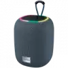 CANYON speaker BSP-8 10W Gray