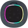 CANYON speaker BSP-8 10W Gray
