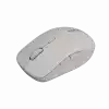 CANYON mouse MW-12 Dual band Wireless Beige