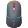 CANYON mouse MW-22 2in1 BT/ Wireless Dark Grey