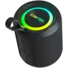 CANYON speaker OnMove 11 IPX6 TWS 20W EQ RGB Black