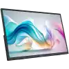 Монитор MSI PRO MP165 E6 Professional Business Portable, 15.6