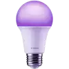Xiaomi Smart LED Bulb (White and Color)