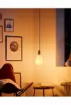 Woox смарт крушка Light - R5139 - WiFi Smart Filament Globe LED Blub E27 Type G95, 4.9W/50W, 470lm, Warm White and Cool White