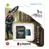 1TB SDMIC KINGST GO+ SDCG3