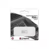 256GB 3.2 KINGSTON / DTMC3G2