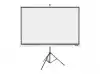 ACER PROJECT SCREEN T87-S01MW