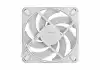 FD MOMENTUM 12 WHITE
