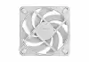 FD MOMENTUM 12 WHITE