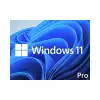WIN 11 PRO 64BIT ENG DSP DVD
