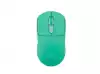 Fury Gaming Mouse Tanto T4 12000DPI Wireless With Software Mint