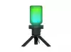 Genesis Microphone Radium 250 USB Stand Black