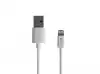 Natec Lightning (M) -> USB-A (M) 2.0 cable 1m White