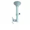 Neomounts Flat Screen Ceiling Mount (Height: 37-47 cm)