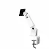 Neomounts Flat Screen Desk Mount (clamp)