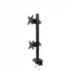 Neomounts Flat Screen Desk Mount (clamp), high capacity, for 2 Monitor Screens