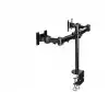 Neomounts Flat Screen Desk Mount (clamp) for 2 Monitor Screens