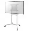 Neomounts Mobile Flat Screen Floor Stand (height: 160 cm)