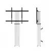 Neomounts Motorised Floor Stand/Wall Mount - VESA 200x200 up to 800x600