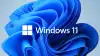 Windows 11 Pro for Wrkstns 64Bit English 1pk DSP OEI DVD