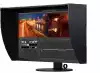 Монитор EIZO CG319X 31.1 inch, IPS LED 4K, 4096 x 2160, Hardware Calibration Monitor, WideGamut, 2xHDMI, 2xDisplay Port, USB, черен