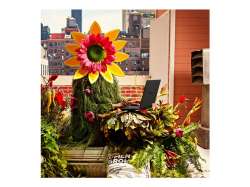 Лаптоп HP OMEN Intel Core i7-13700HX 16inch WUXGA 32GB RAM 2TB SSD NVIDIA GeForce RTX 4070 8GB VRAM FREE DOS