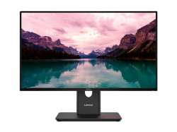 Монитор LENOVO ThinkVision T24-40 LED 24inch 1920x1080 Full HD (1080p) 120Hz IPS 250cd/m2 1500:1 4ms HDMI VGA DisplayPort 3y