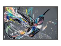 PHILIPS 43BDL3650Q/00 43inch Direct LED 4K Display powered by Android HTML5 browser CMND & Deploy basic failover LAN PHILIPS 43BDL3650Q/00 43inch Direct LED 4K Display powered by Android HTML5 browser CMND & Deploy basic failover LAN