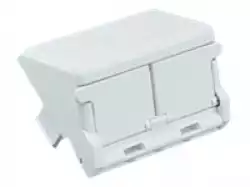 2 Module Insert for Bezels