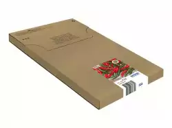 EPSON 1LB Multipack 4colours 503 EasyMail Ink Cartridge