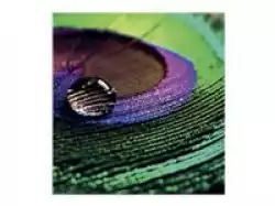 EPSON Production Photo Paper Semigloss 200 36 x 30m