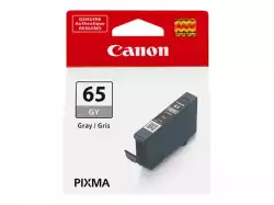 CANON 1LB CLI-65 GY EUR/OCN Ink Cartridge                          