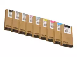 EPSON 5LB T6037 CARTOUCHE D’ENCRE GRIS standard capacité 220ml 1-pack