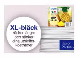 EPSON 1LB Multipack 4colours 604 EasyMail Ink Cartridge