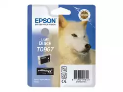 EPSON Singlepack Light Black T096740
