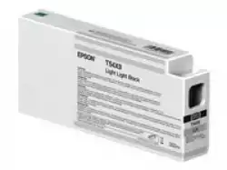 EPSON 1LB Singlepack Light Light Black T54X900 UltraChrome                          