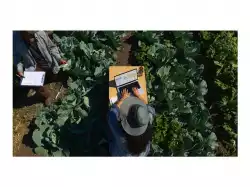 Лаптоп APPLE MacBook Pro 14inch M4 Pro chip with 12-core CPU and 16-core GPU 24GB 512GB SSD Silver