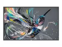 PHILIPS 43BDL3650Q/00 43inch Direct LED 4K Display powered by Android HTML5 browser CMND & Deploy basic failover LAN