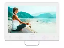 Телевизор PHILIPS 19inch Profesional TV