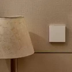 Aqara Smart Wall Switch H1 (no neutral, single rocker): Model: WS-EUK01; SKU: AK071EUW01