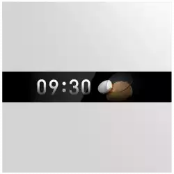 Aqara Display Switch V1 EU. Model Number: WS-K02D