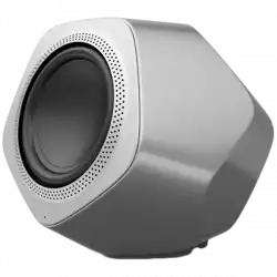 Beolab 19 Speaker Grey (Frame Natural Alu)